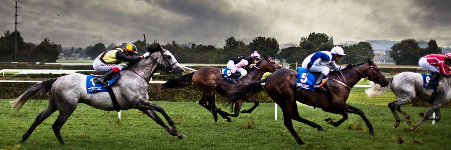 Win, Place and Show Wagering Explained
